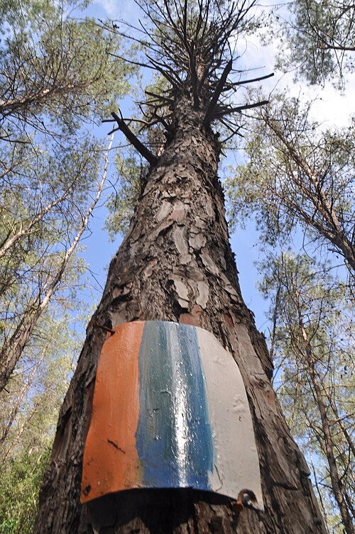 Israel National Trail